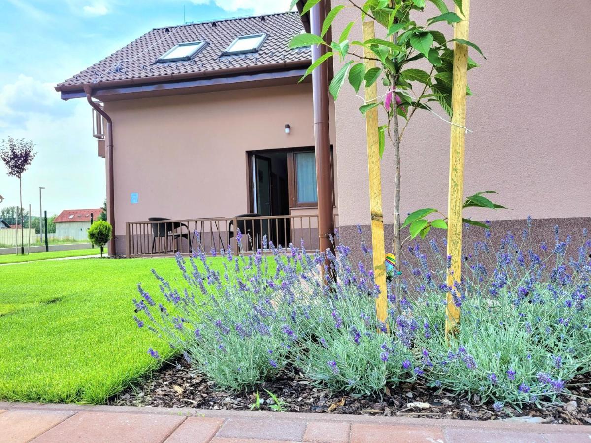 Silver Lodge Vendeghaz Egerszalok Ngoại thất bức ảnh